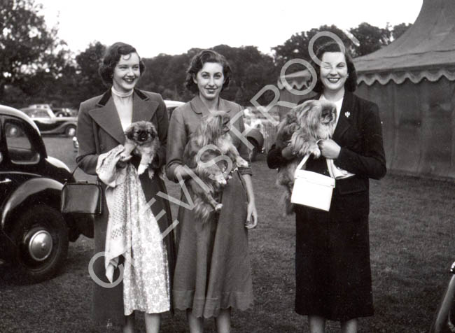 1951 three ladies