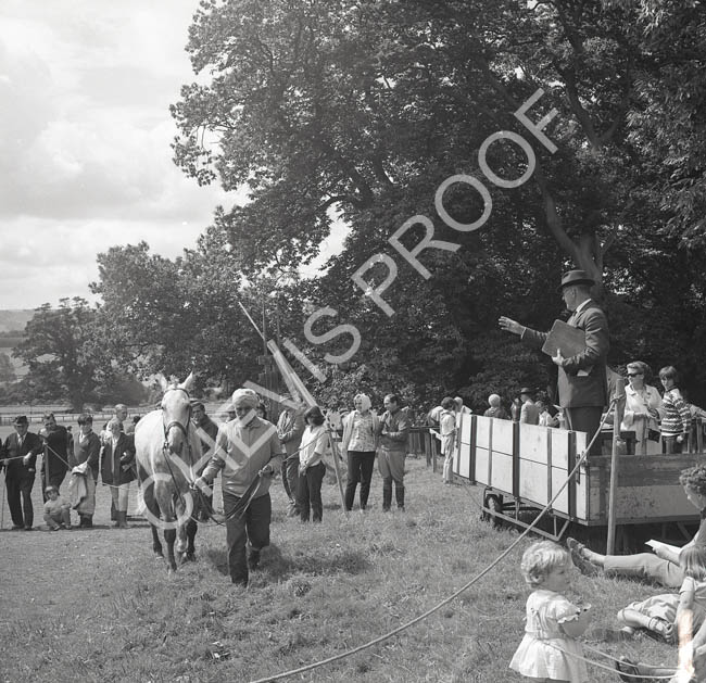 1965 polo pony sale