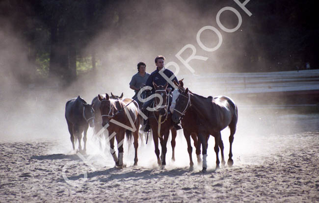 1998 ponies exercising