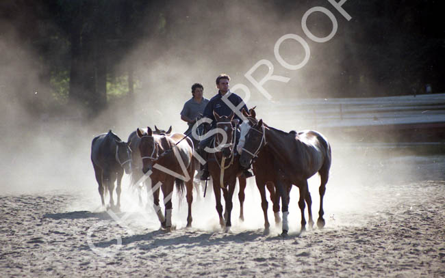 1998 pony exercise