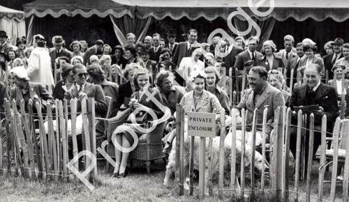 1951 HM members enclosure at Cowdray Park